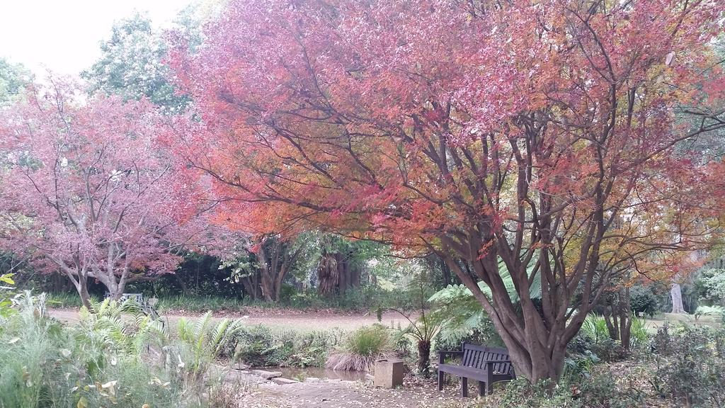 Babbling Brook Bed & Breakfast Pietermaritzburg Luaran gambar