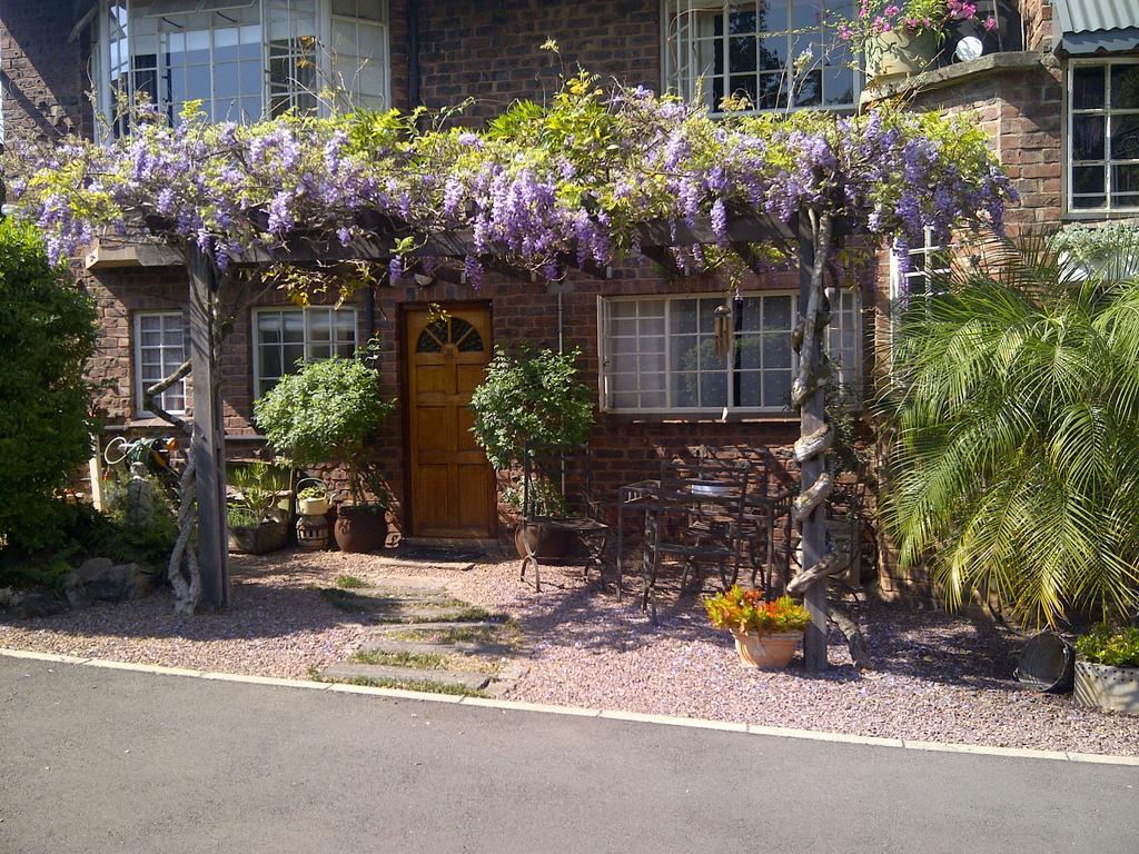 Babbling Brook Bed & Breakfast Pietermaritzburg Luaran gambar