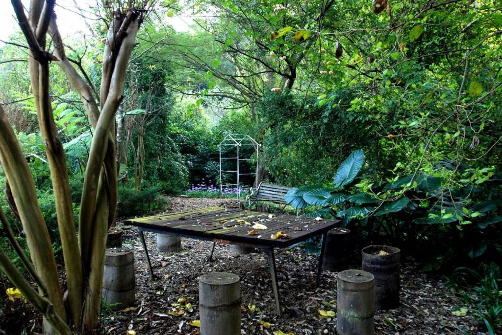 Babbling Brook Bed & Breakfast Pietermaritzburg Luaran gambar